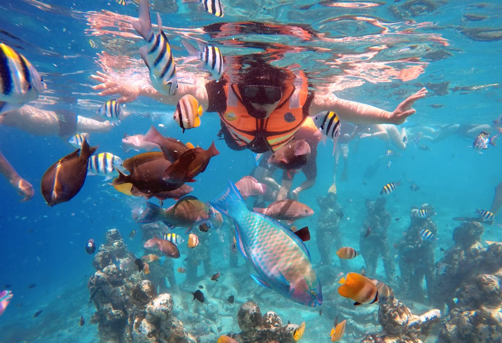 snorkeling_gili_trawangan_2