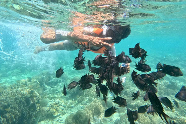 gili_gede_3