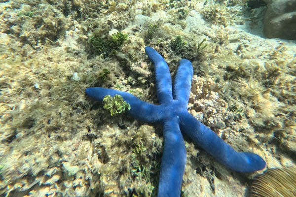 gili_gede_4
